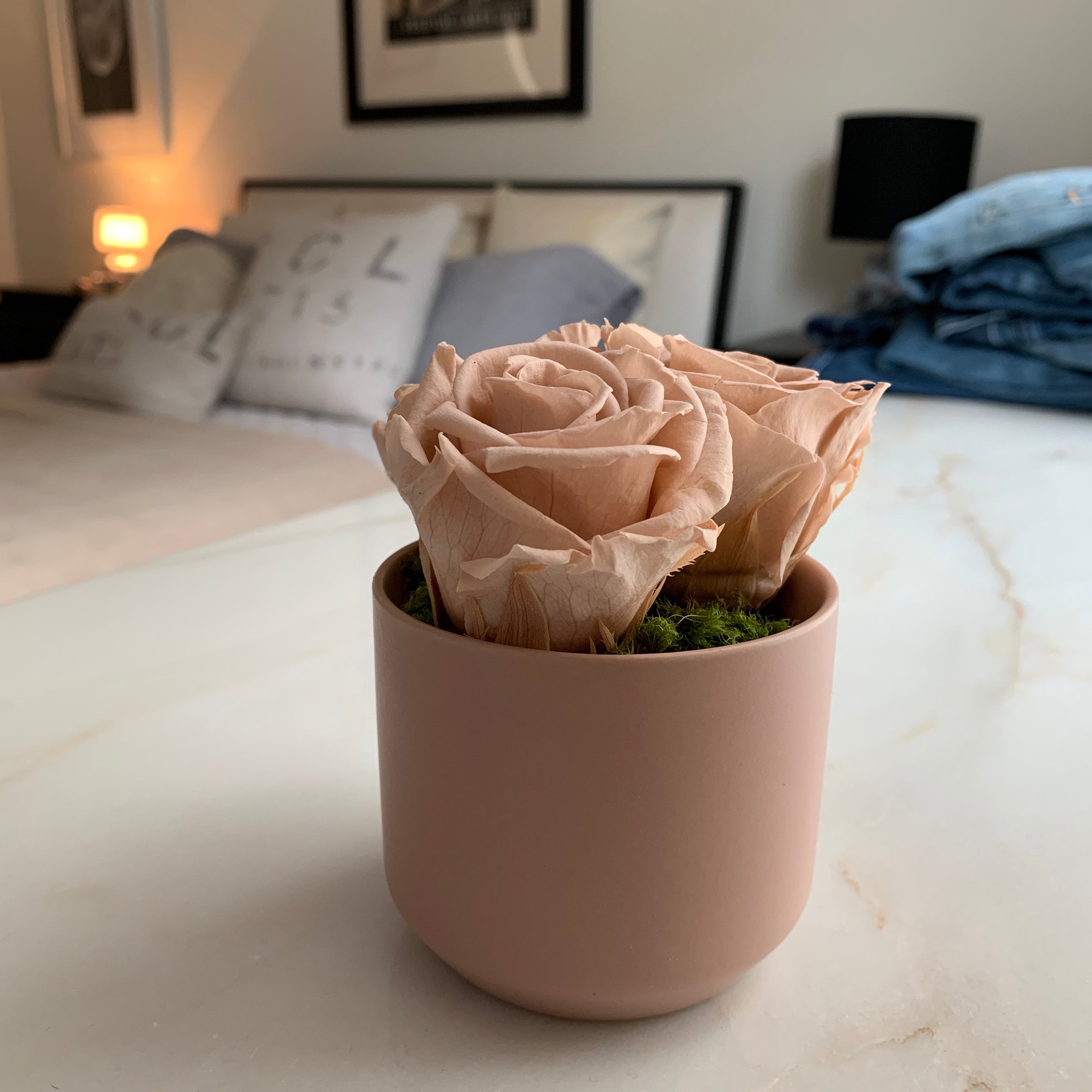 Vase De Jardin En Porcelaine Rose Blush – Ornements Bronze Ormolu – 8,5 X 15 Pouces – Neuf