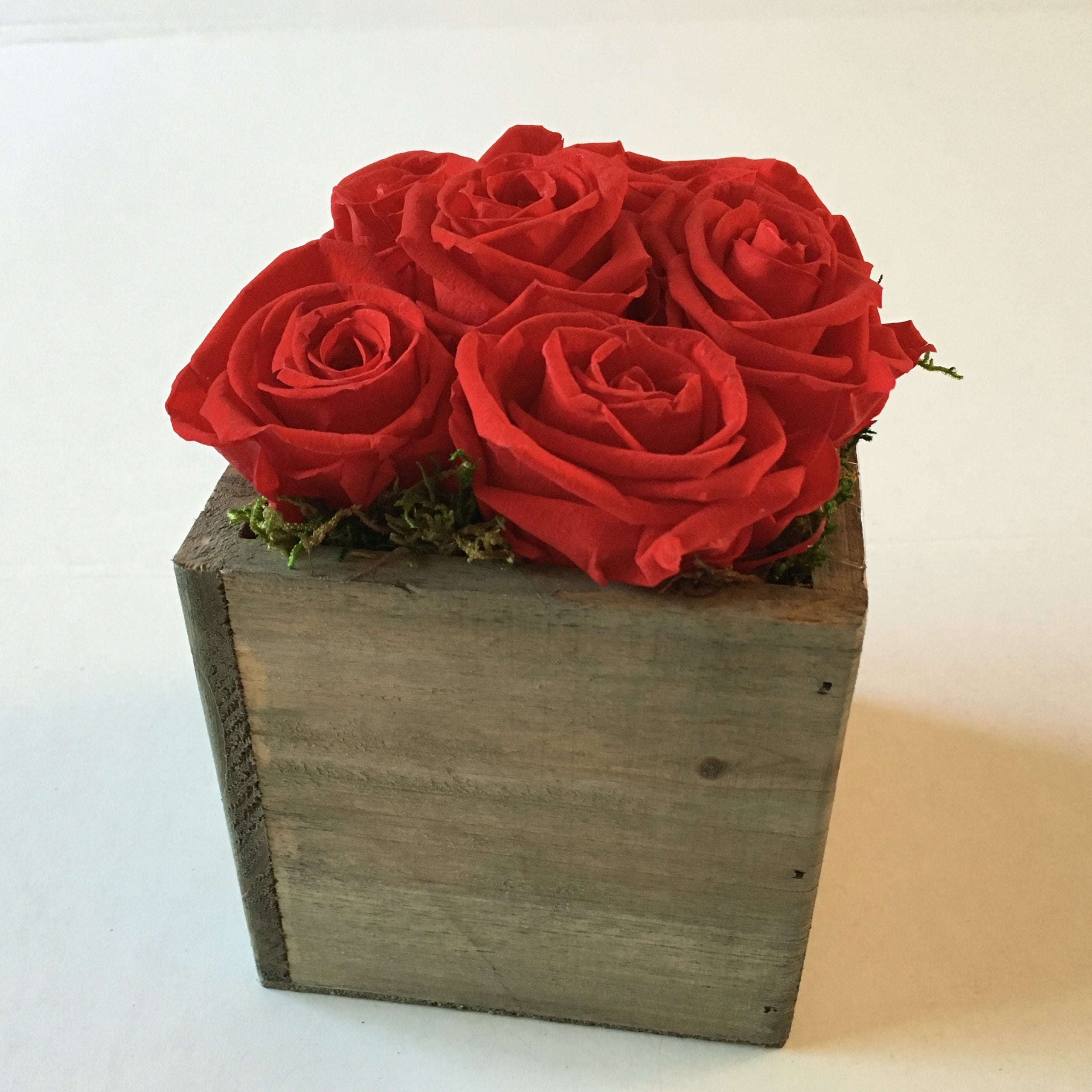 12 Preserved Red Roses in a Box Official Local Florist: Hamilton